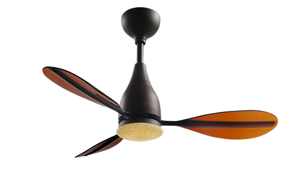 rb - translucent brown ≥z©@∞ÿ-crop-u14021