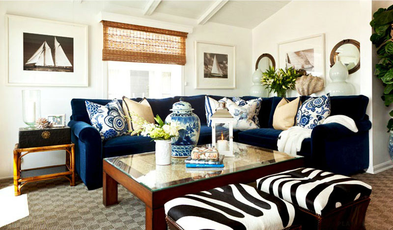 beach-plant-barclaybutera